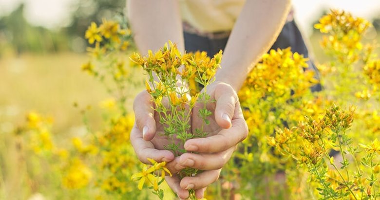 Kantaronla gelen sağlık