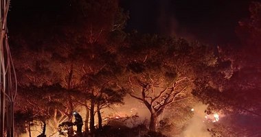 Bodrum’da ormanlık alanda yangın!