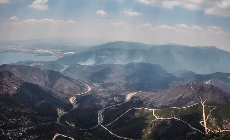 İzmir’de orman yangınlarının yaraları sarılıyor