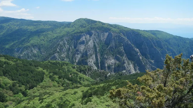 efsanelerle-dolu-kaz-daglari-1782680987328.png