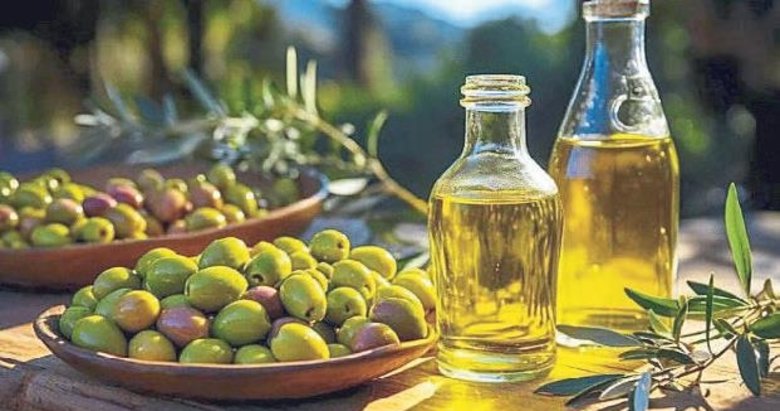 Aydın’ın en kaliteli zeytinyağı seçilecek