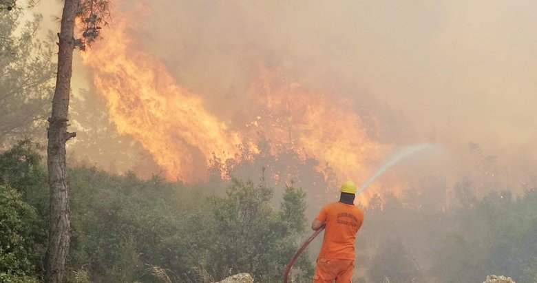 Ciğerlerimiz yanıyor yüreklerimiz kanıyor