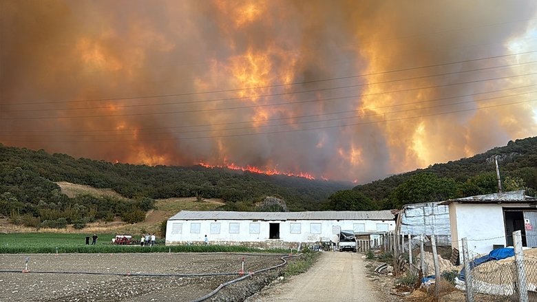 Bursa’da büyük orman yangını