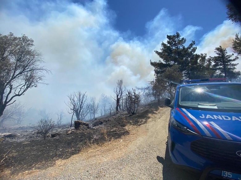 Son dakika: İzmir’de orman yangını! Müdahale sürüyor