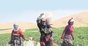 Çiftçinin yeni pazarı sosyal medya