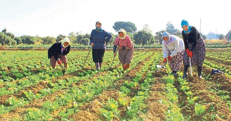 Tarımın başkenti oldu