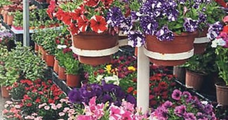 Çiçeğin görsel şovuna davetlisiniz