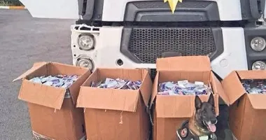 Arama köpeği Dangal’dan tam isabet
