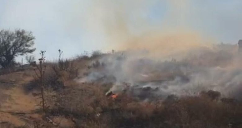 İzmir’de otluktaki yangın ormana sıçradı