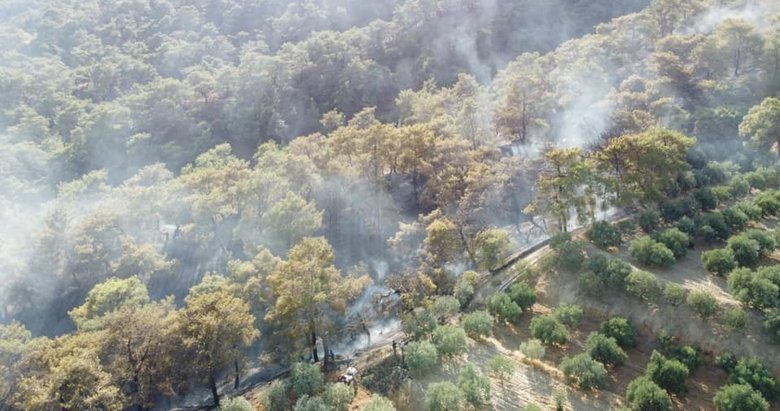 Aydın Buharkent’teki orman yangını kontrol altına alındı