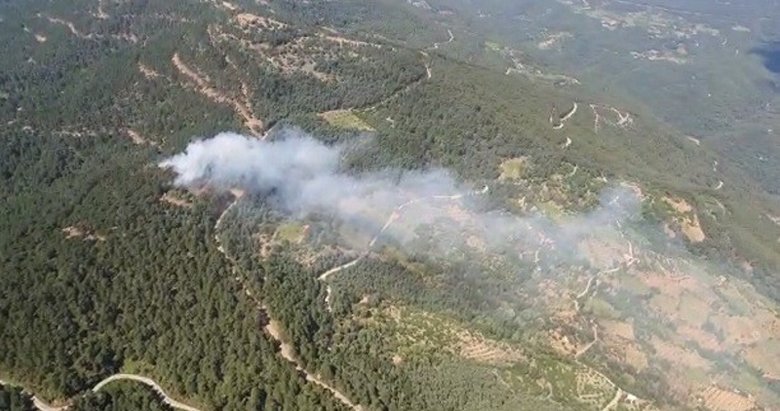 Son dakika: İzmir’de ormanlık alanda yangın!