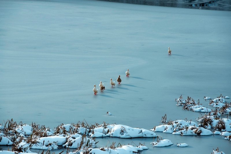 Afyonkarahisar Akdağ Tabiat Parkı’ndaki gölet buz tuttu! Ortaya bu eşsiz manzara çıktı