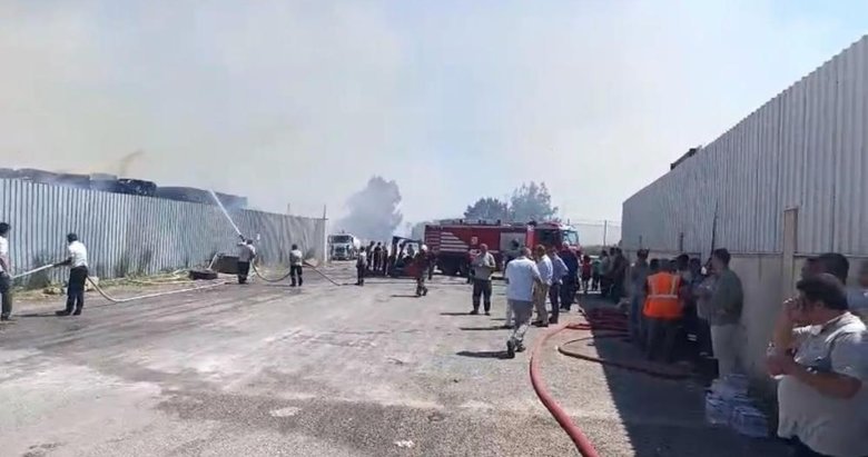 Son dakika: İzmir Torbalı’da kağıt fabrikasında yangın