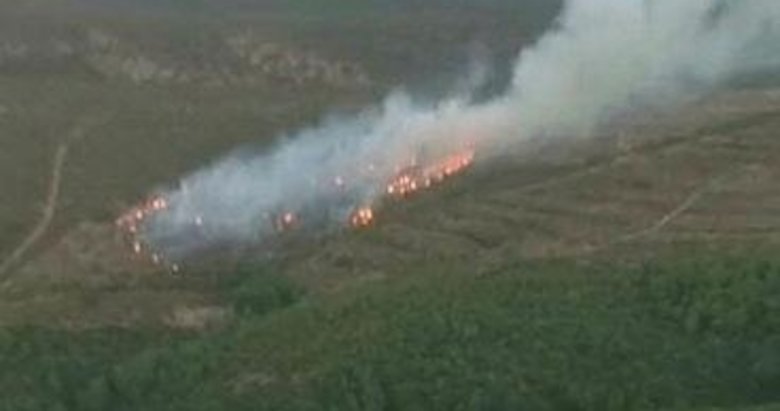 İzmir’de orman yangını! Hızlı müdahale ile kontrol altında
