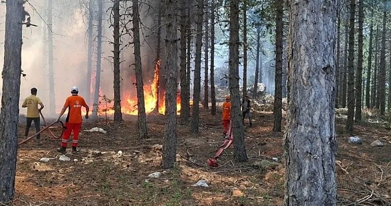 Son dakika: Aydın’da orman yangını! Havadan ve karadan müdahale