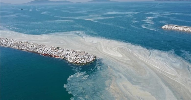 Müsilaj görülen illerdeki balıkçılara ilave ödemede bulunulacak