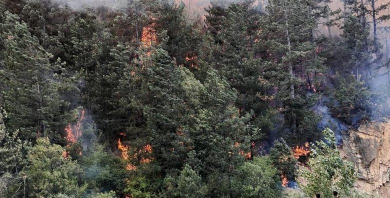 Son dakika: Bolu’da orman yangını! Havadan ve karadan müdahale