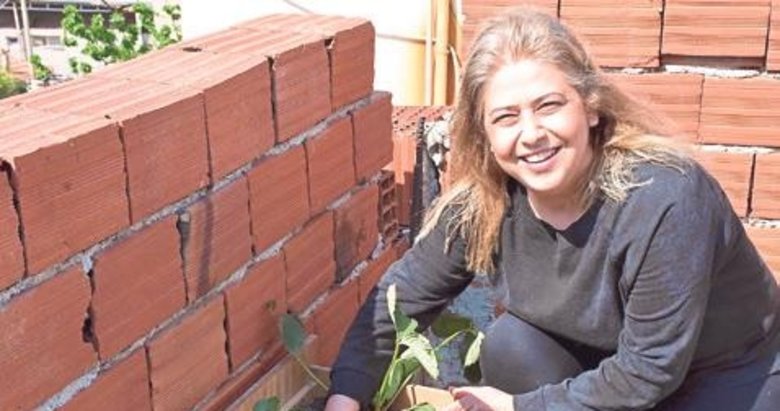 Salgın günlerinde balkonda tarım