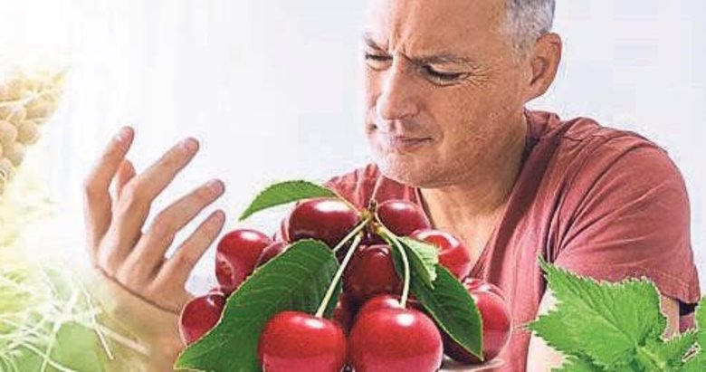 Romatizma tutulmasına karşı kişniş ve kiraz sapı