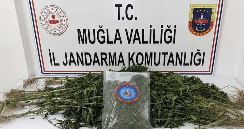 Muğla’da uyuşturucuya geçit yok! Jandarma operasyonlarından 33 tutuklama