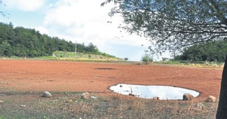 Manisa’da Sülüklü göl tamamen kurudu