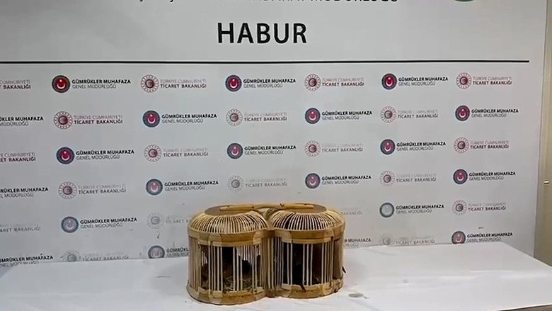 Gümrükler Muhafaza ekipleri, 2025’te 85 bin 342 canlı hayvan ele geçirdi