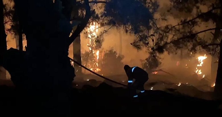 İzmir Karşıyaka’da orman yangını