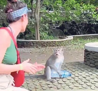 Ünlü oyuncunun maymunla su savaşı