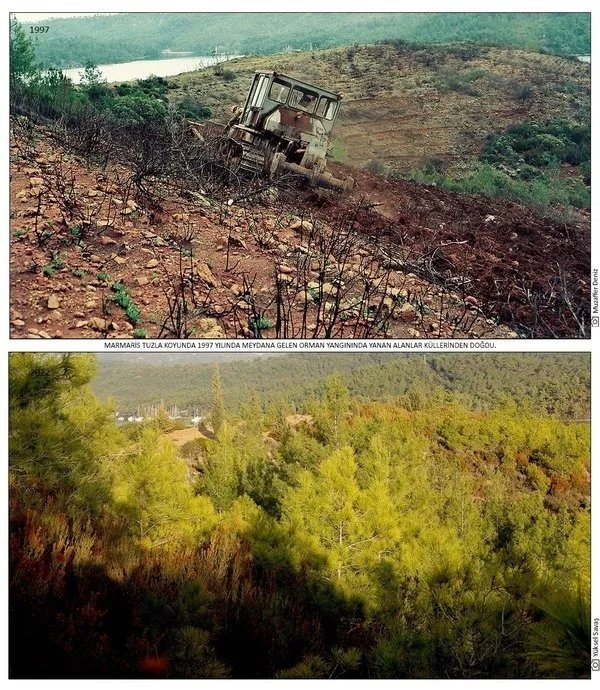 28 yıl önce felaketin yaşandığı Marmaris’te doğa tekrar canlandı