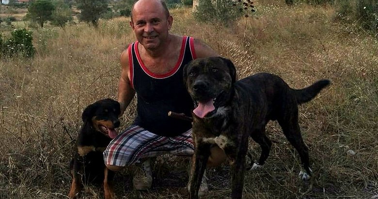 Marmaris’te iki köpek zehirlenerek öldürüldü
