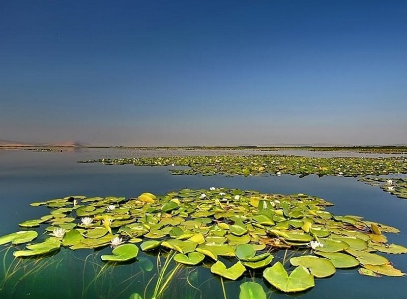 Nilüferleriyle ünlü Işıklı Gölü doğal güzellikleriyle cezbediyor