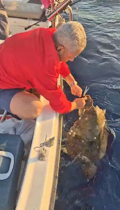 kusadasinda-akilalmaz-vicdansizlik-ayagina-tas-baglanan-caretta-caretta-son-anda-kurtarildi-1781715537534.png