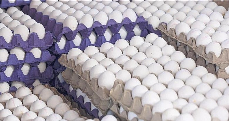 Yumurta fiyatları düşüşe geçti