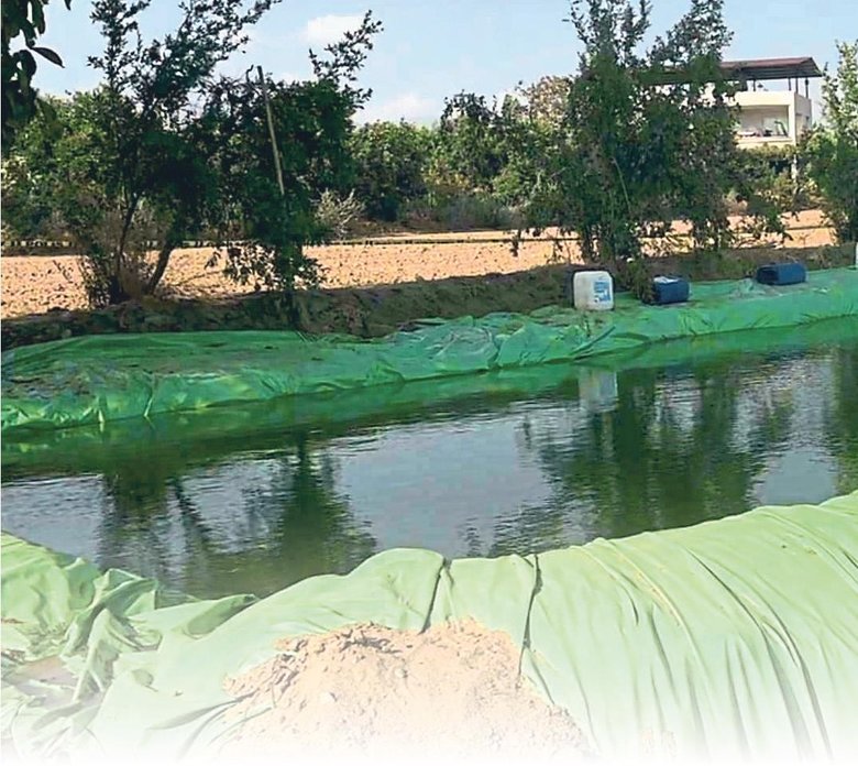 Yeğenleri için can verdiler: Zehirli havuz sonları oldu