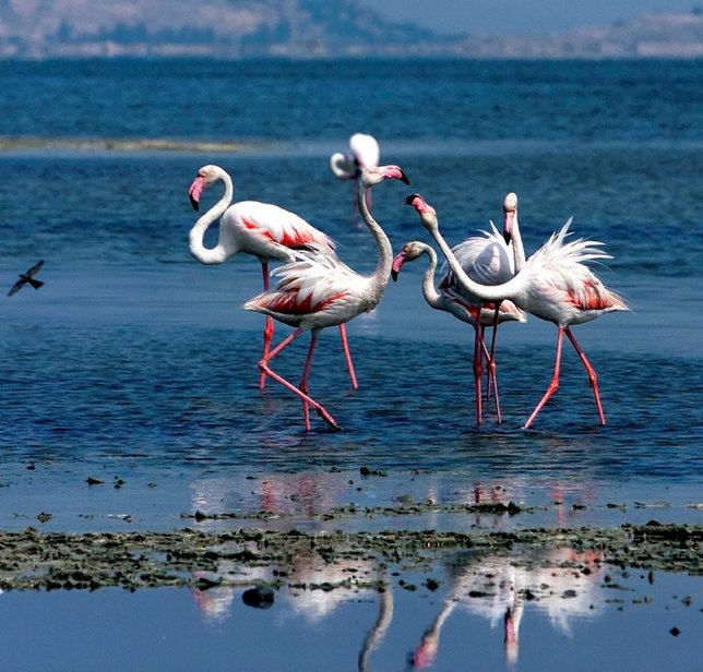 İzmir'de mutlaka gitmeniz gereken sonbahar rotaları