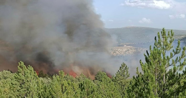 Kütahya’da orman yangını!