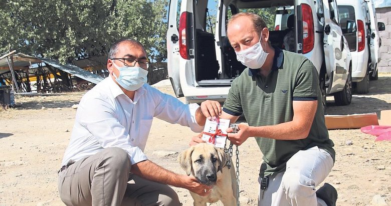 Cimer’den istedi devlet ayağına getirdi