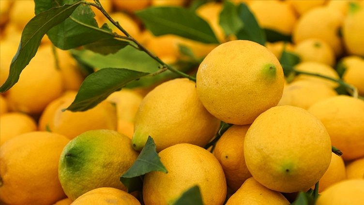 Her sabah aç karnına limonlu su içerseniz 30 gün sonra vücudunuzdaki değişime inanamayacaksınız