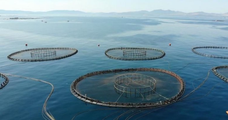 Türkiye’den kültür balıkçılığında üretim rekoru geldi