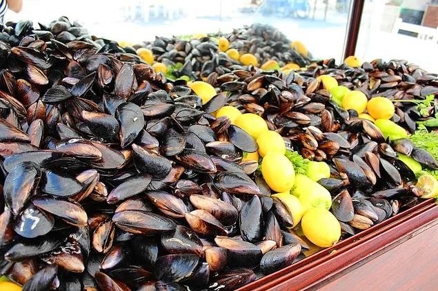 Uzmanlar uyardı: Dip balığı ve midye yemeyin