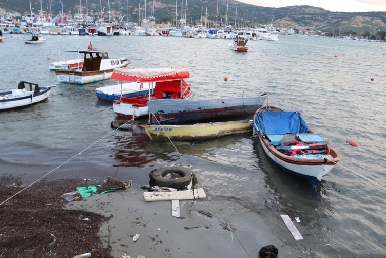 İzmir’i fırtına vurdu! Foça’da fırtınada ağaçlar devrildi, tekneler battı