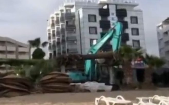 Sözde çevreci belediye Didim’de katliam yaptı