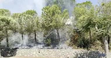 SON DAKİKA: Balıkesir’de yangın alarmı!