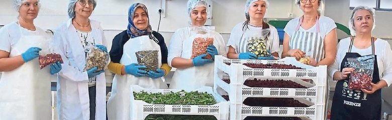 Devlet desteğiyle fabrikatör oldular