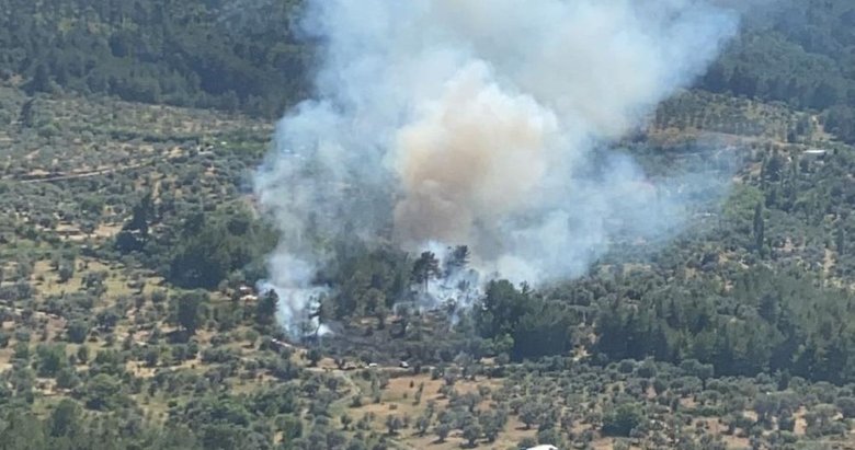 İzmir Kemalpaşa’da orman yangını