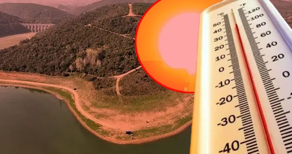 1785220462038.png