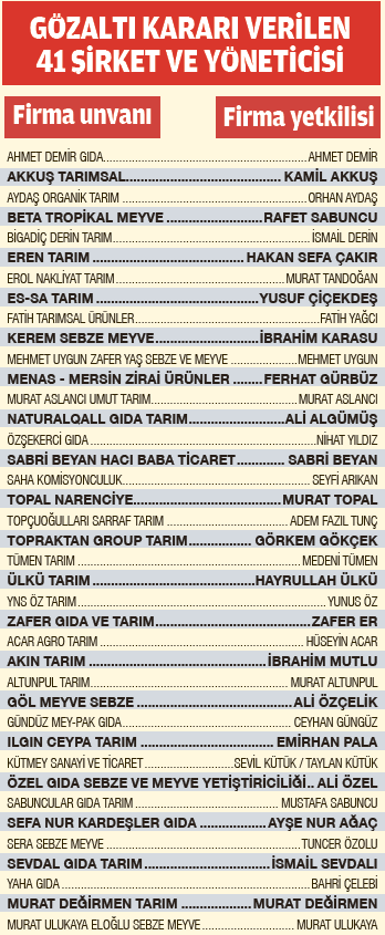 gidada-fahis-fiyata-dev-nester-1789499588619.png