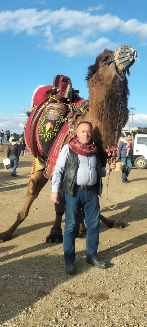 Bayındır’da deve güreşi krizi