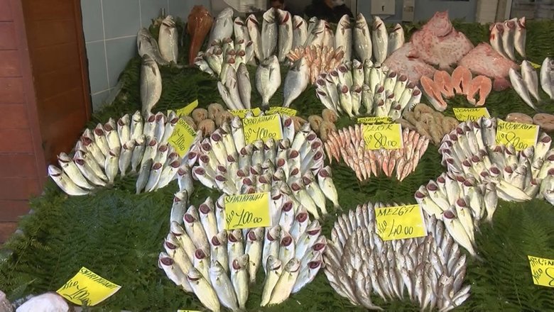 Lagos balığı özellikleri nelerdir? Lagos fiyatı ne kadar?