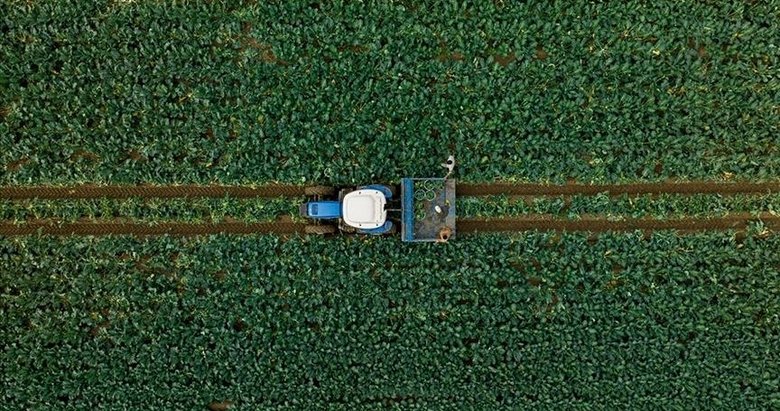 Çiftçilere 3,2 milyar lirayı aşan destek ödemesi bugün yapılacak